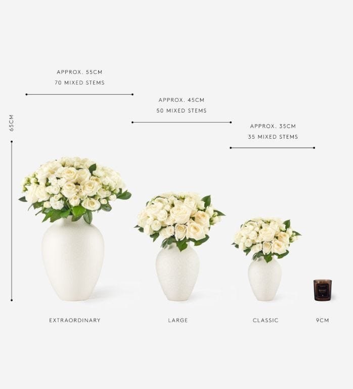 Image Size Guide